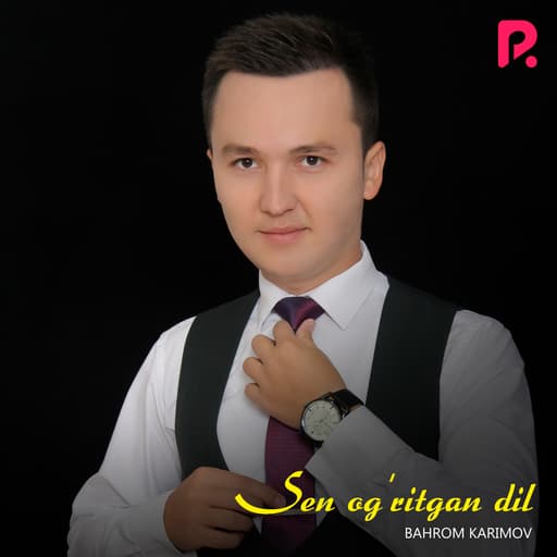 Sen og'ritgan dil