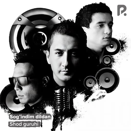 Sog'indim dildan