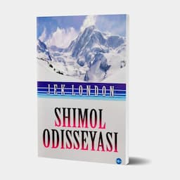 Shimol odisseyasi